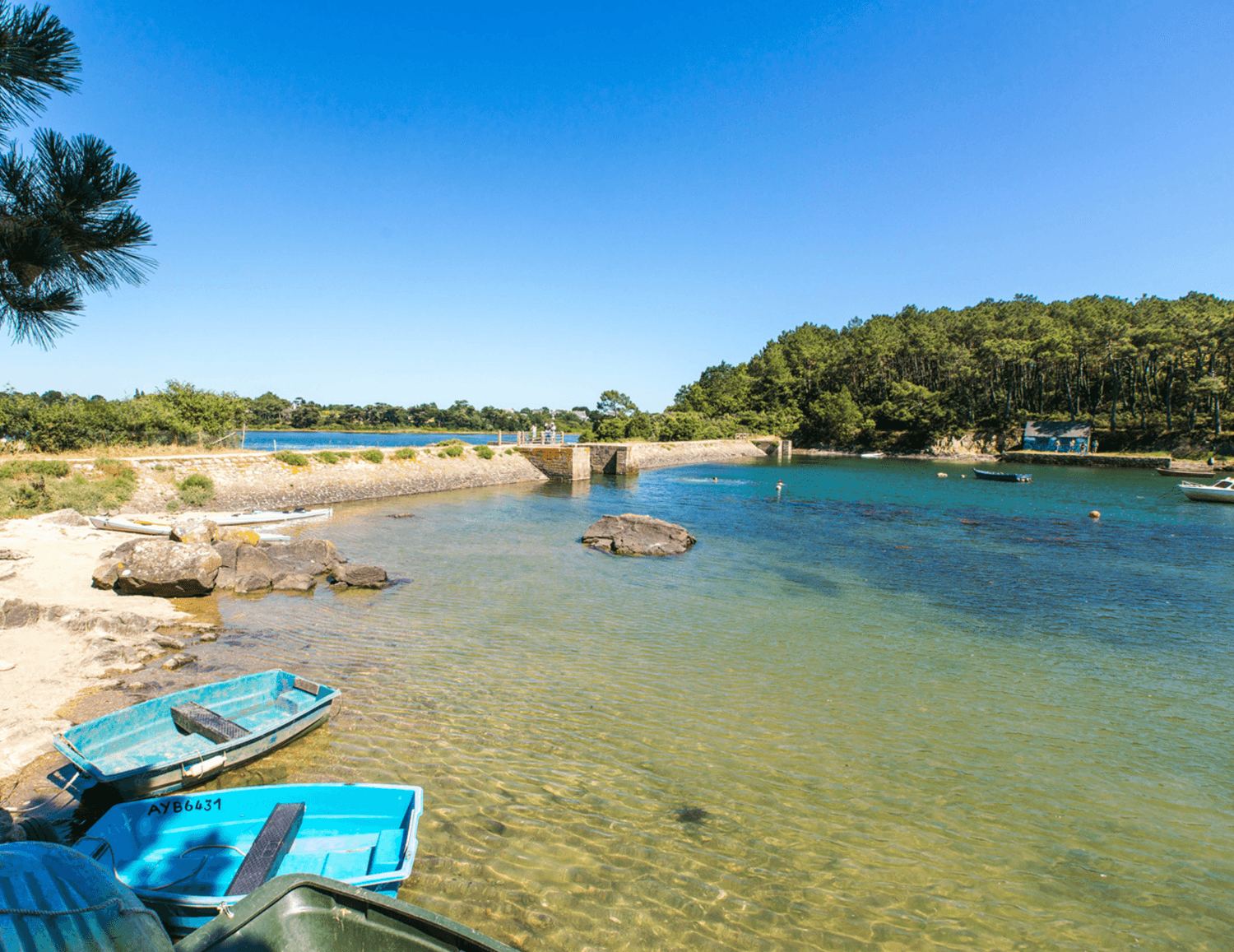 Rive du Golfe du Morbihan à Baden, digue de pierre, pins et barques