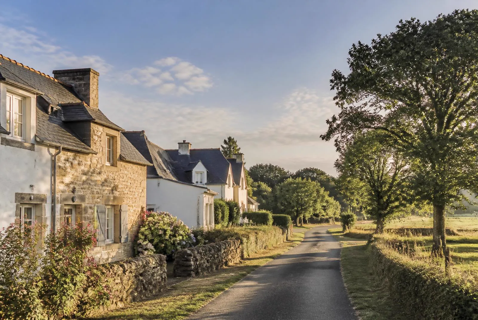Brech, le prolongement naturel d'Auray : ce qu'il faut savoir avant d'acheter ou de vendre