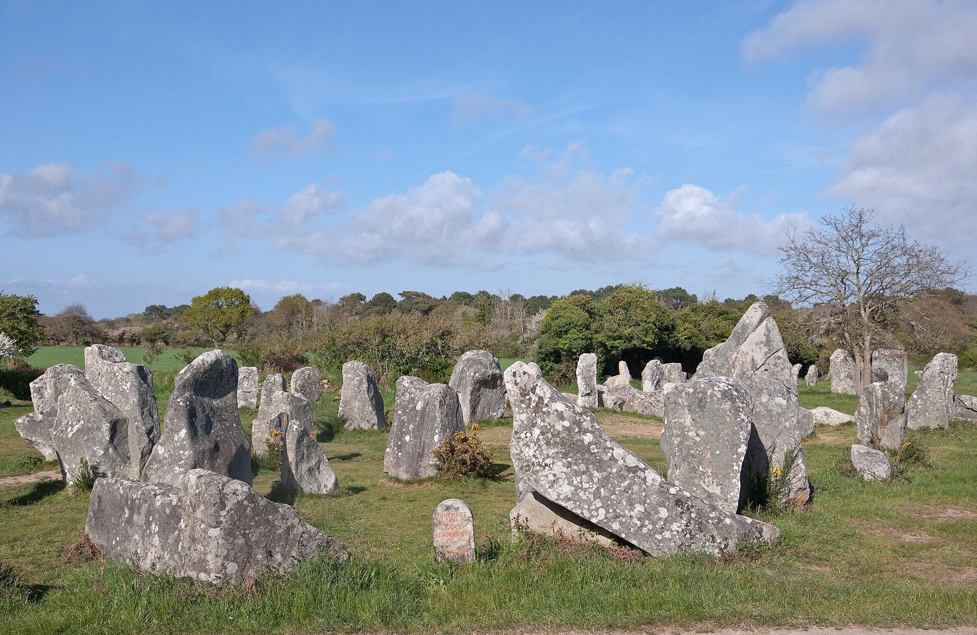 Alignements de menhirs de Kerzerho dans la lande d'Erdeven